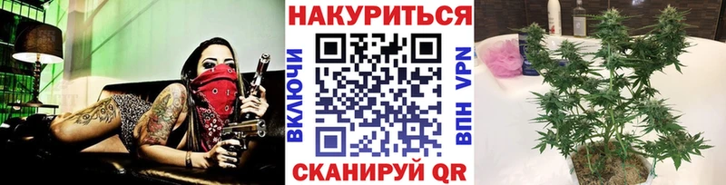 Бошки Шишки семена  Купить  Красновишерск 